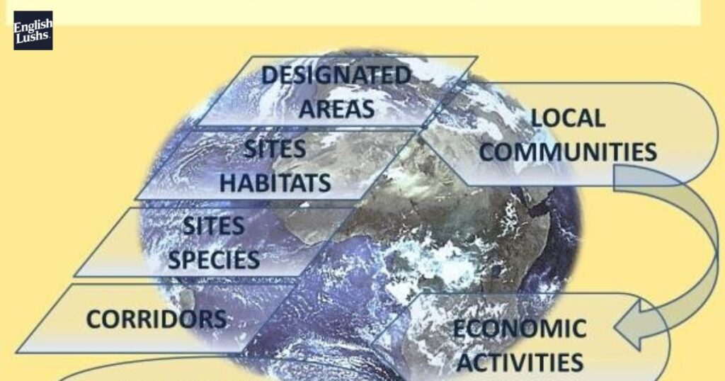 Impact on Local Communities and the Environment