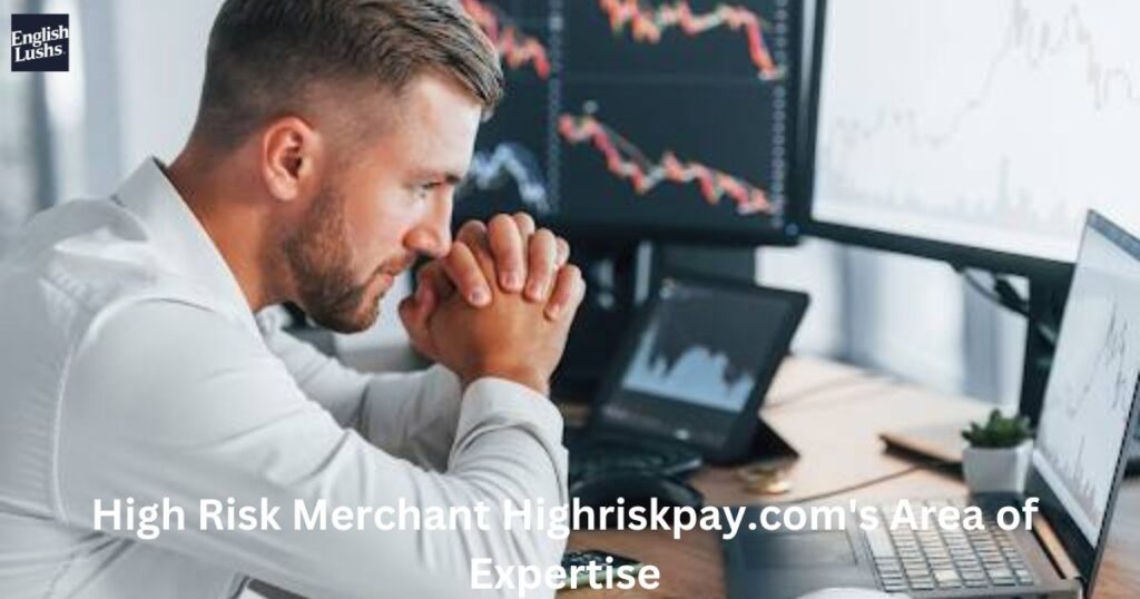 High Risk Merchant Highriskpay.com's Area of Expertise