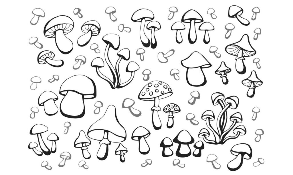 My Personal Experience with Drawing Mushrooms