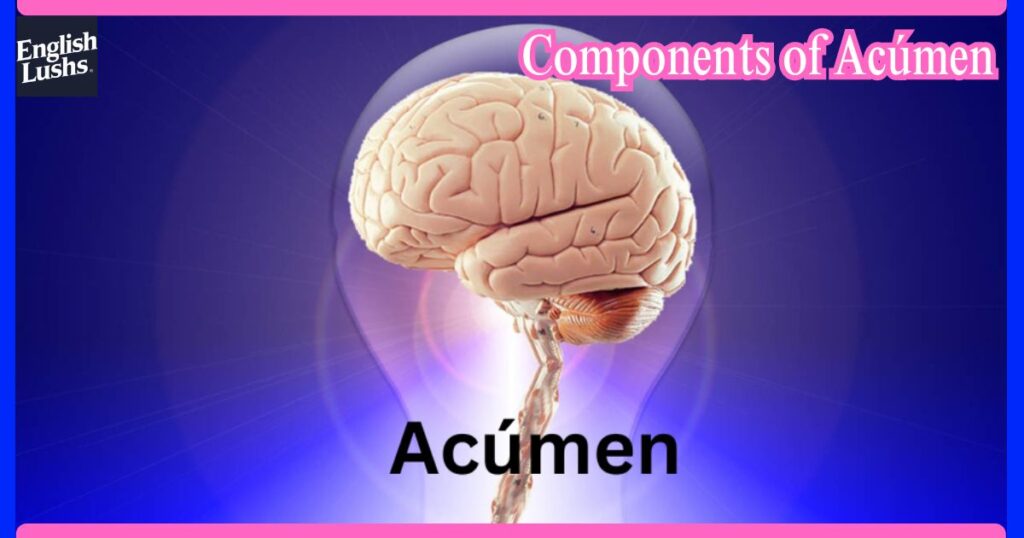 Components of Acúmen